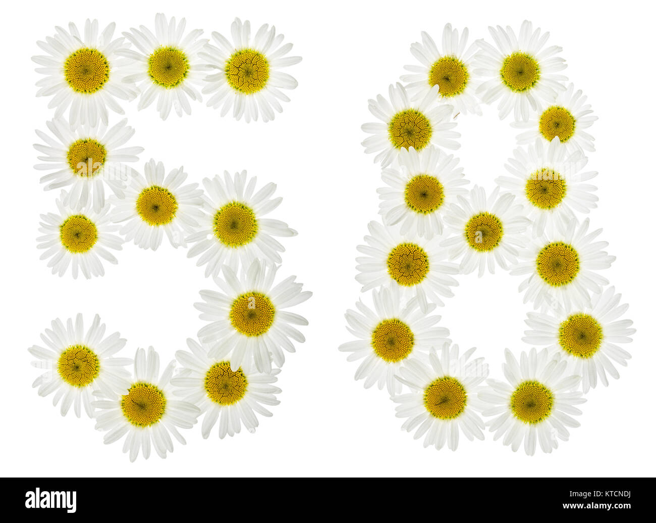 Chiffre arabe 58, cinquante huit, à partir de fleurs blanches de camomille, isolé sur fond blanc Banque D'Images