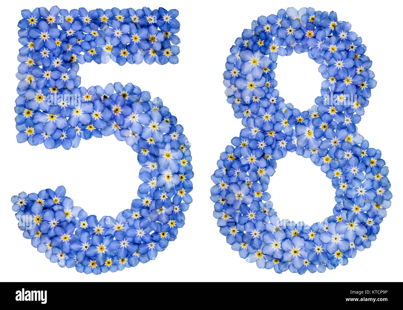 Chiffre arabe 58, cinquante huit, de blue forget-me-not fleurs, isolé sur fond blanc Banque D'Images