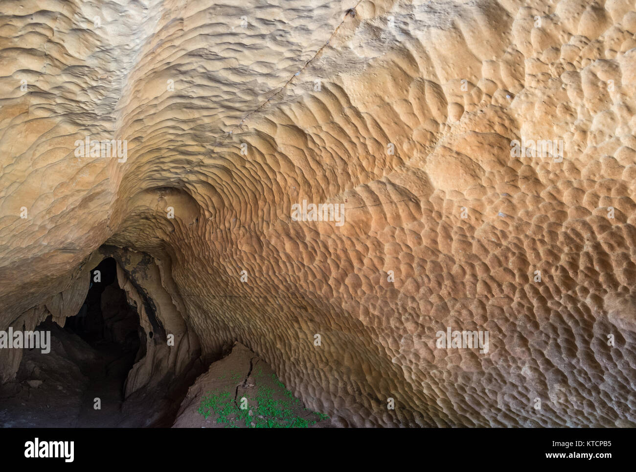 Dissolution détaillée texture sur le mur de roche calcaire et de plafond à une entrée d'une grotte. Parc National Tsingy de Bemaraha. Madagascar, l'Afrique. Banque D'Images