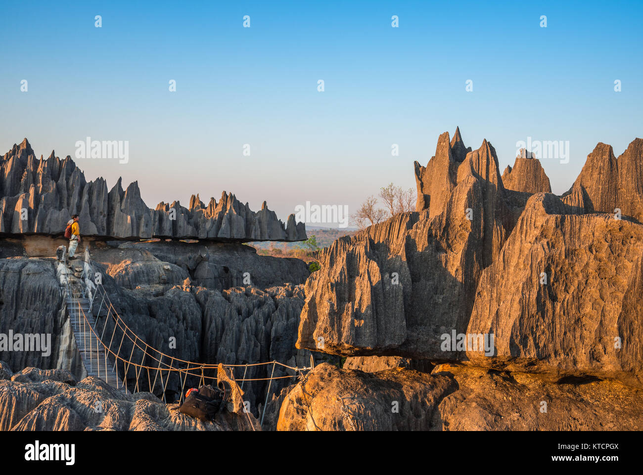 Un pont suspendu relie calcaire karstique robuste au Parc National Tsingy de Bemaraha. Madagascar, l'Afrique. Banque D'Images