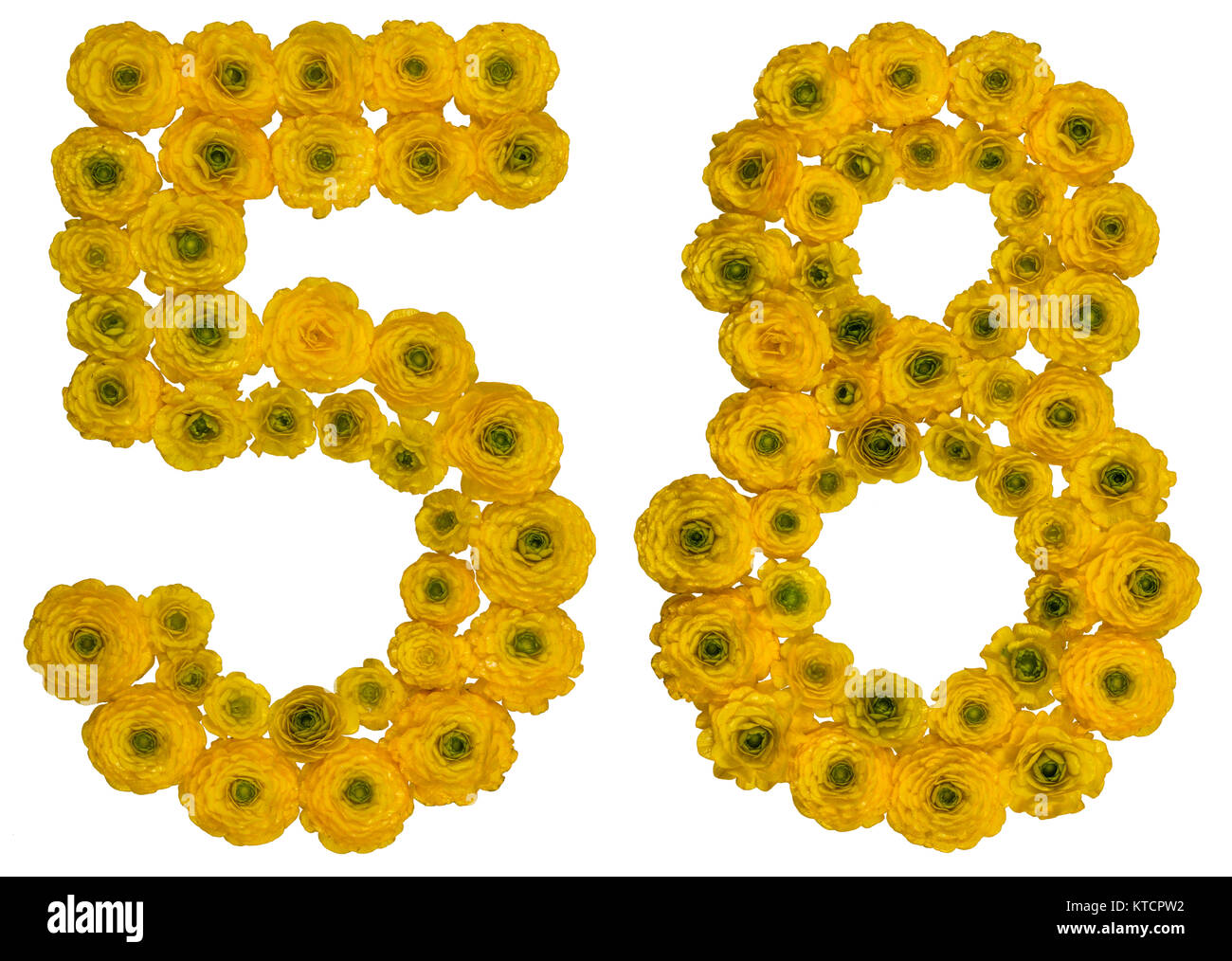 Chiffre arabe 58, cinquante huit, de fleurs jaunes de la renoncule, isolé sur fond blanc Banque D'Images