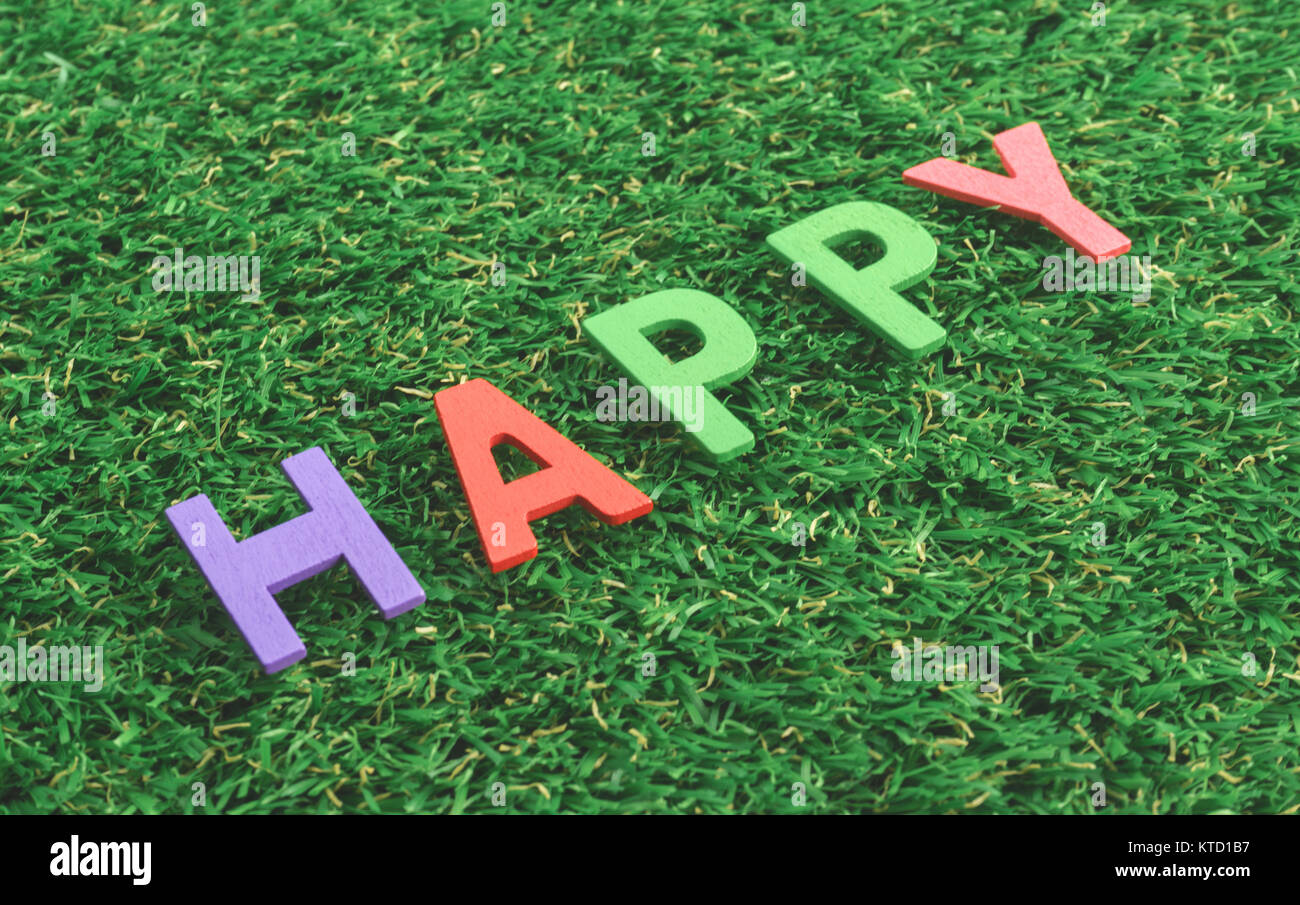 Alphabet en bois coloré mot heureux sur fond d'herbe verte Banque D'Images