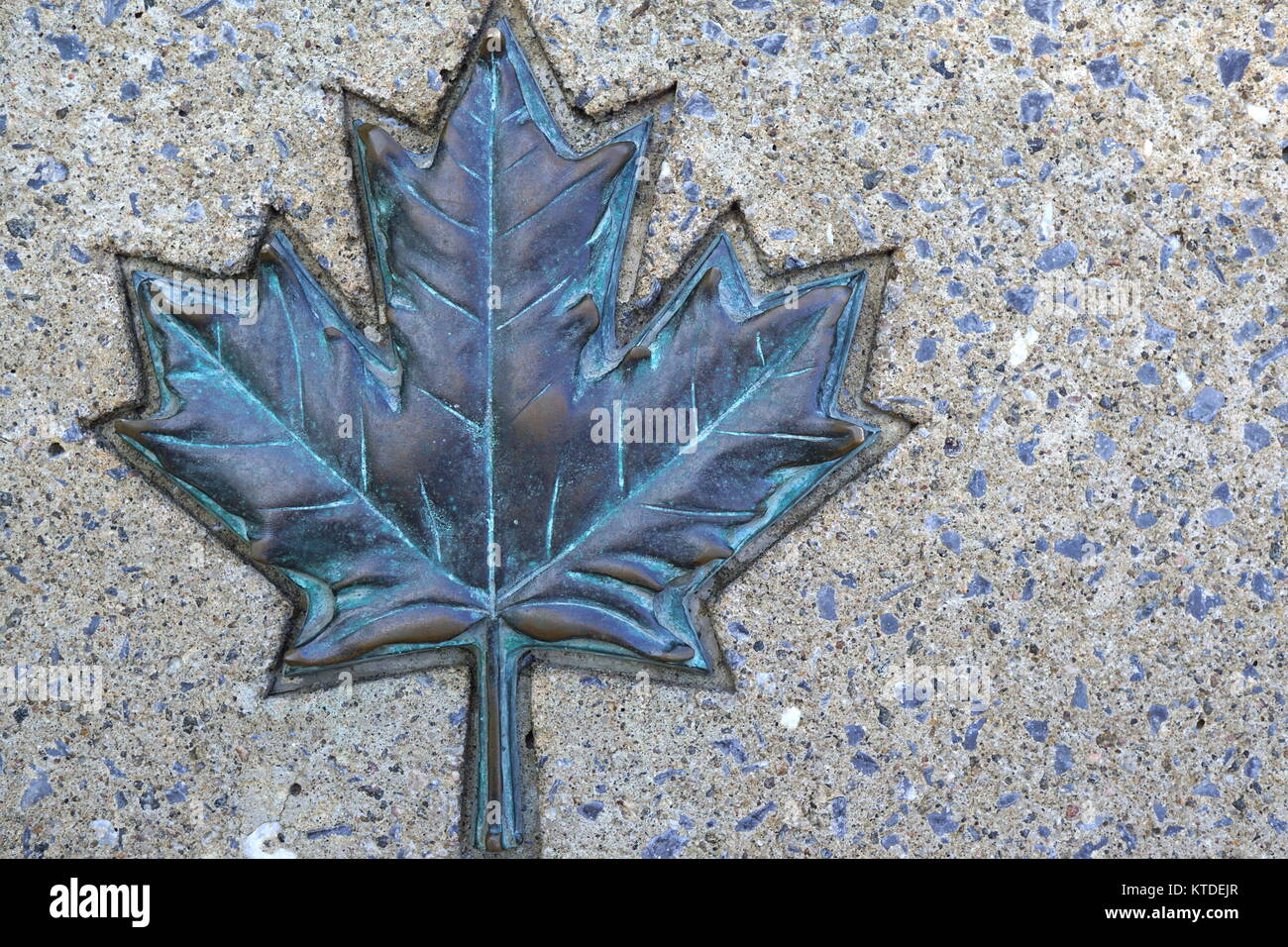 Feuille d'érable, le symbole officiel du Canada Banque D'Images