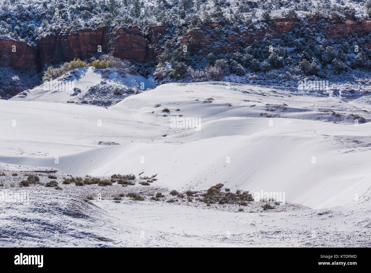 Après un paysage de dunes de neige de printemps à Coral Pink Sand Dunes State Park, Utah, USA Banque D'Images