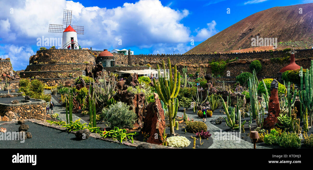 Beau jardin de cactus,jardin populaire dans l'île de Lanzarote, Canary,Espagne. Banque D'Images