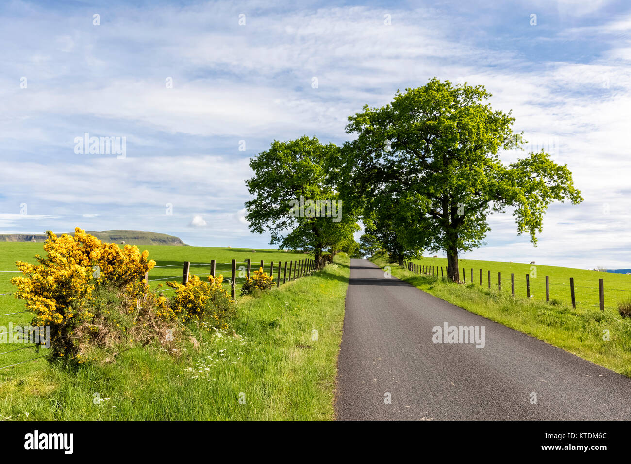 Royaume-uni, Ecosse, Highland, side road près de Stirling Banque D'Images