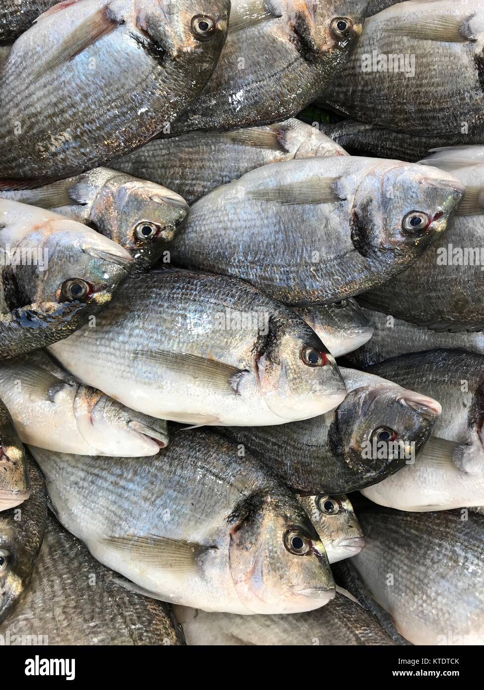 Marché de poissons à Istanbul. Banque D'Images