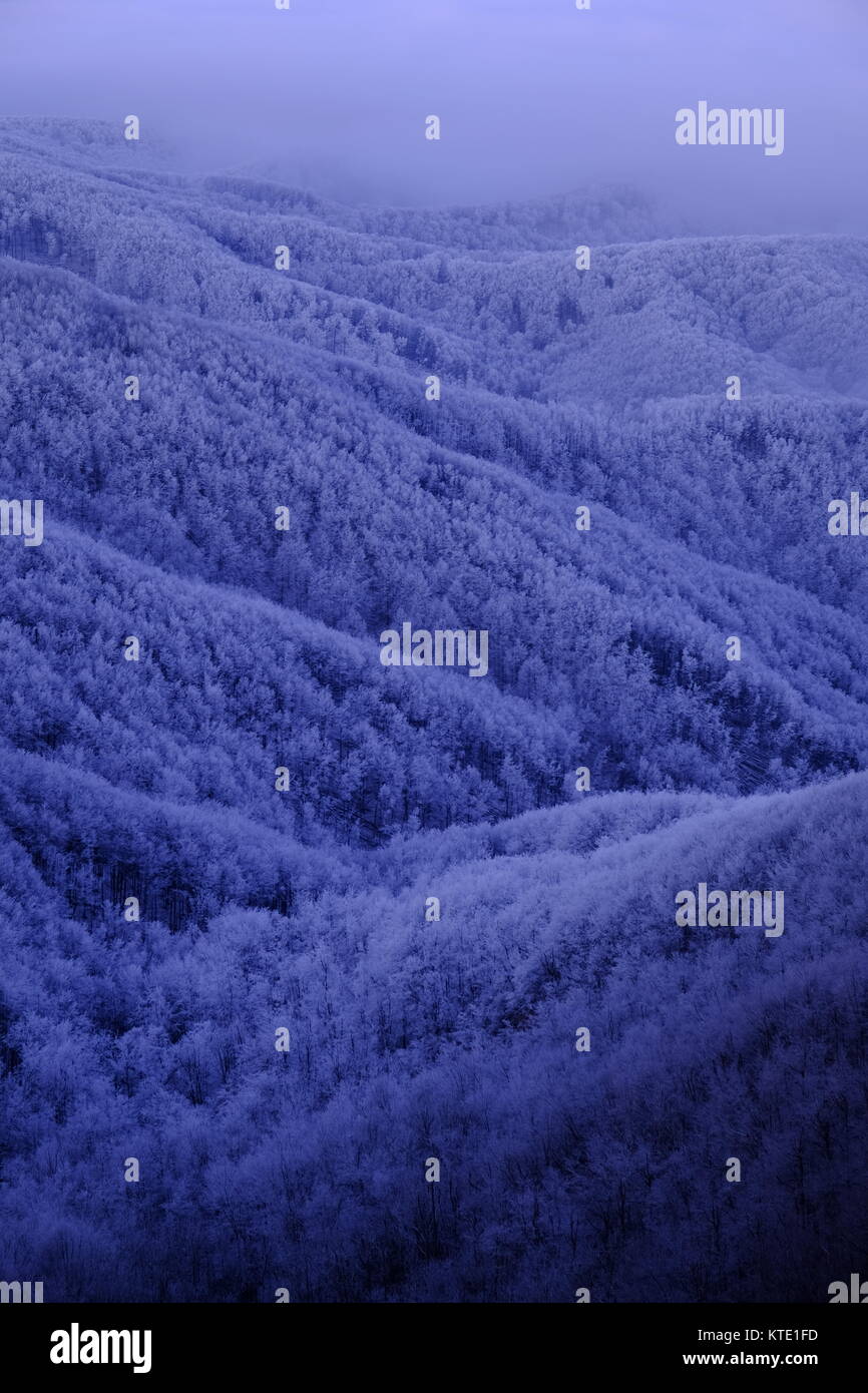 Montagnes couvertes de forêt gelés dans le nord de la Hongrie Banque D'Images