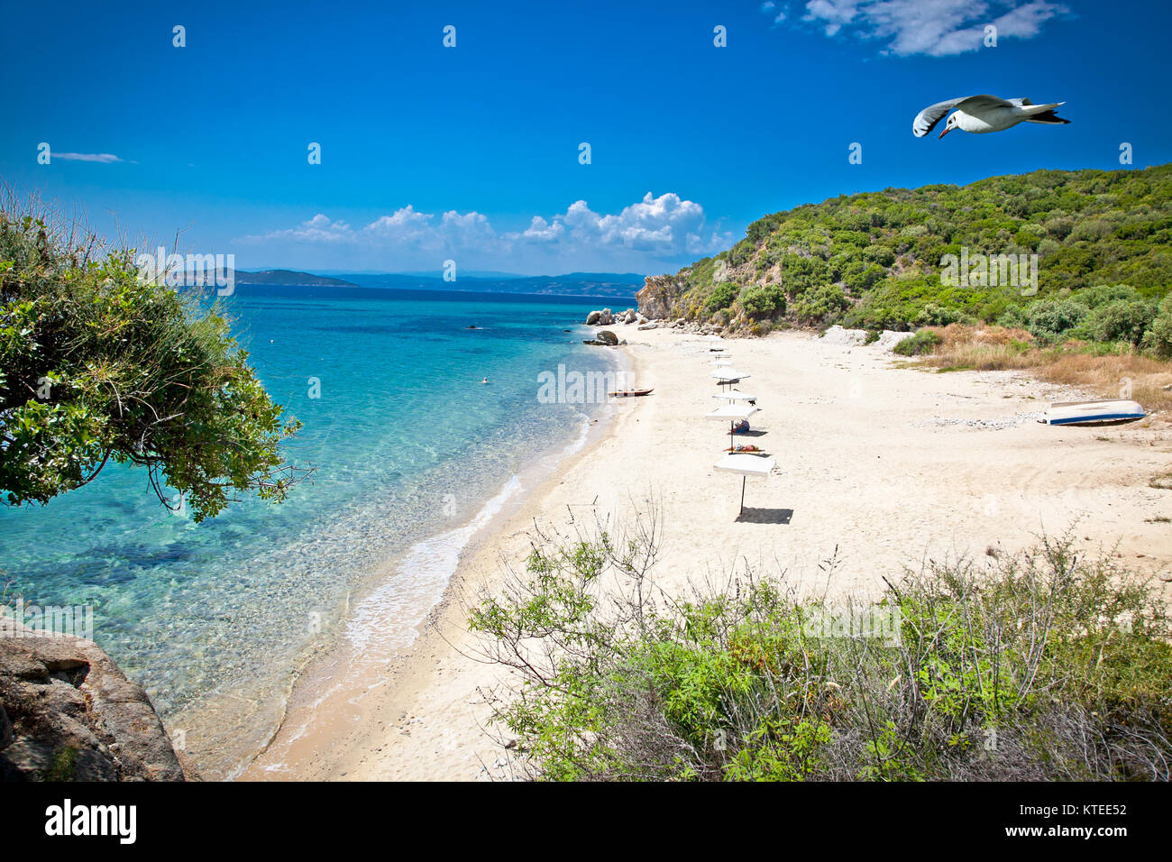 Belle plage de sable sur l'Ouranoupolis péninsule Athos, la Grèce. Banque D'Images