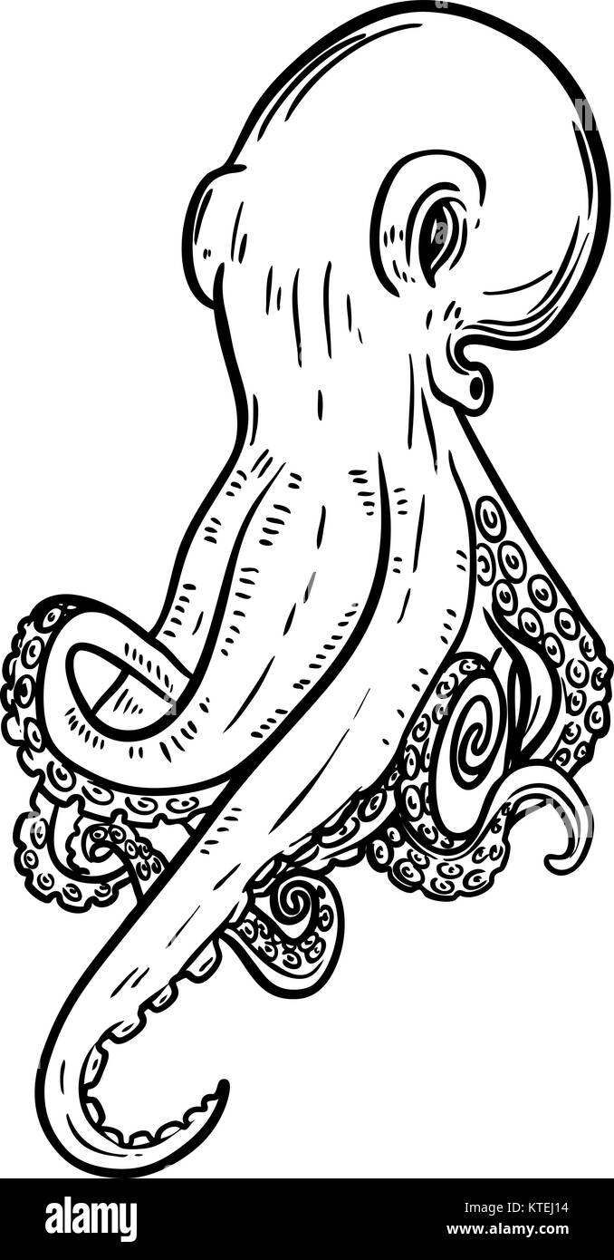 Illustration de la pieuvre dessiné à la main. Les fruits de mer. L'élément de conception de logo, étiquette, emblème, signe, affiche, bannière. Vector illustration Illustration de Vecteur
