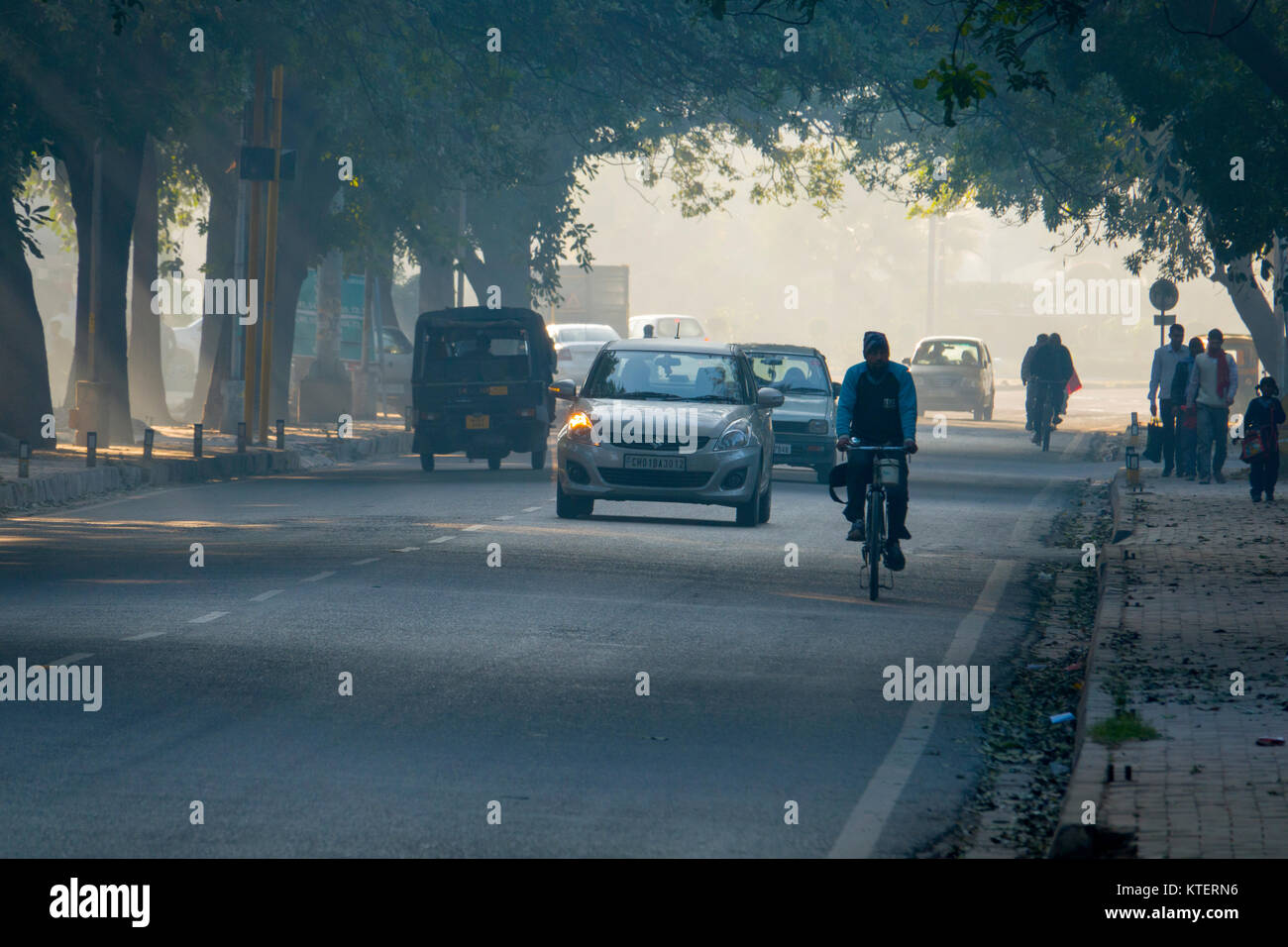 La circulation dans la rue bordée de Chandigarh, Inde Banque D'Images