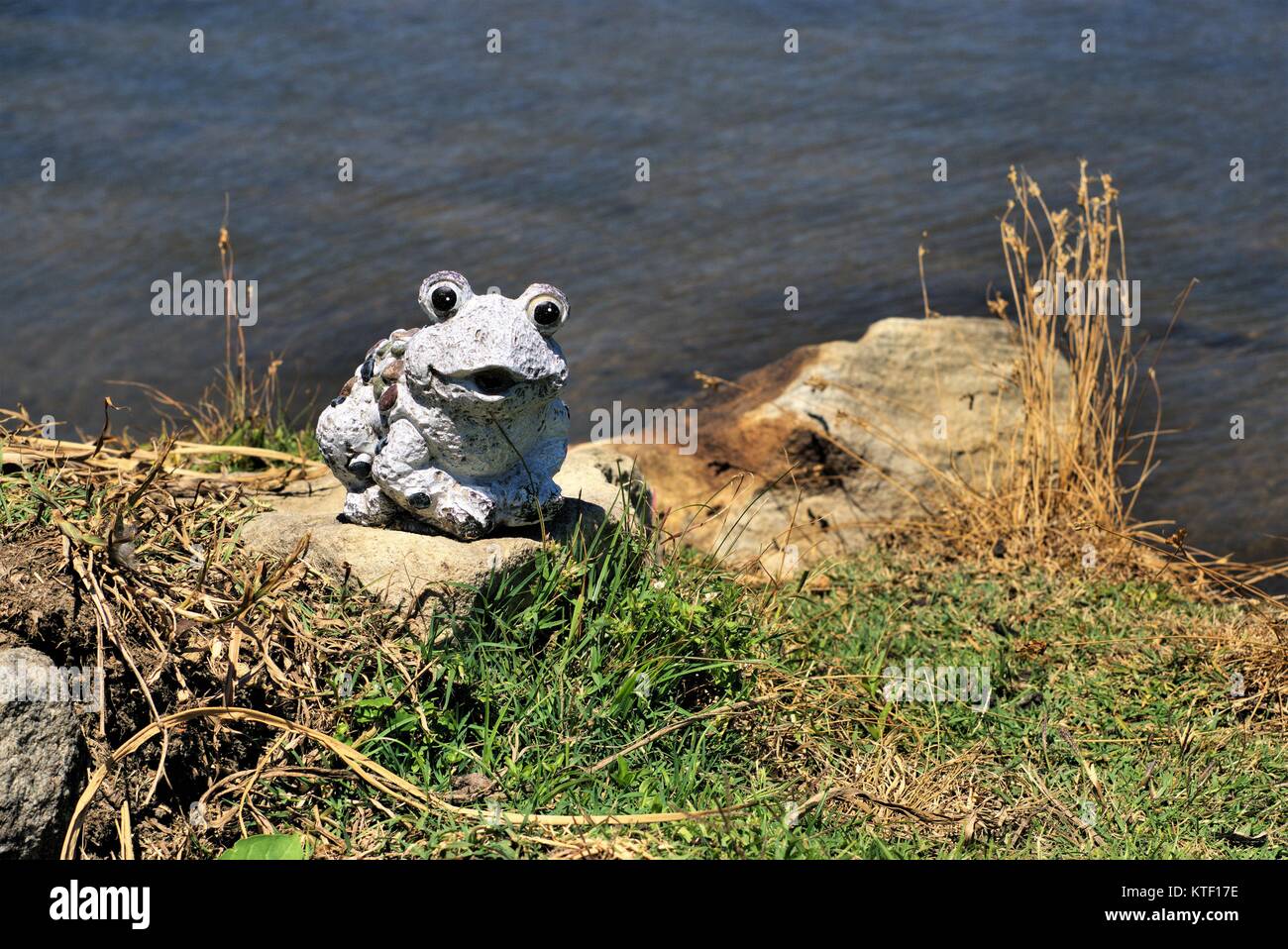 Statues de jardin de grenouille. Accessoire de jardin grenouille assis sur des rochers. Banque D'Images