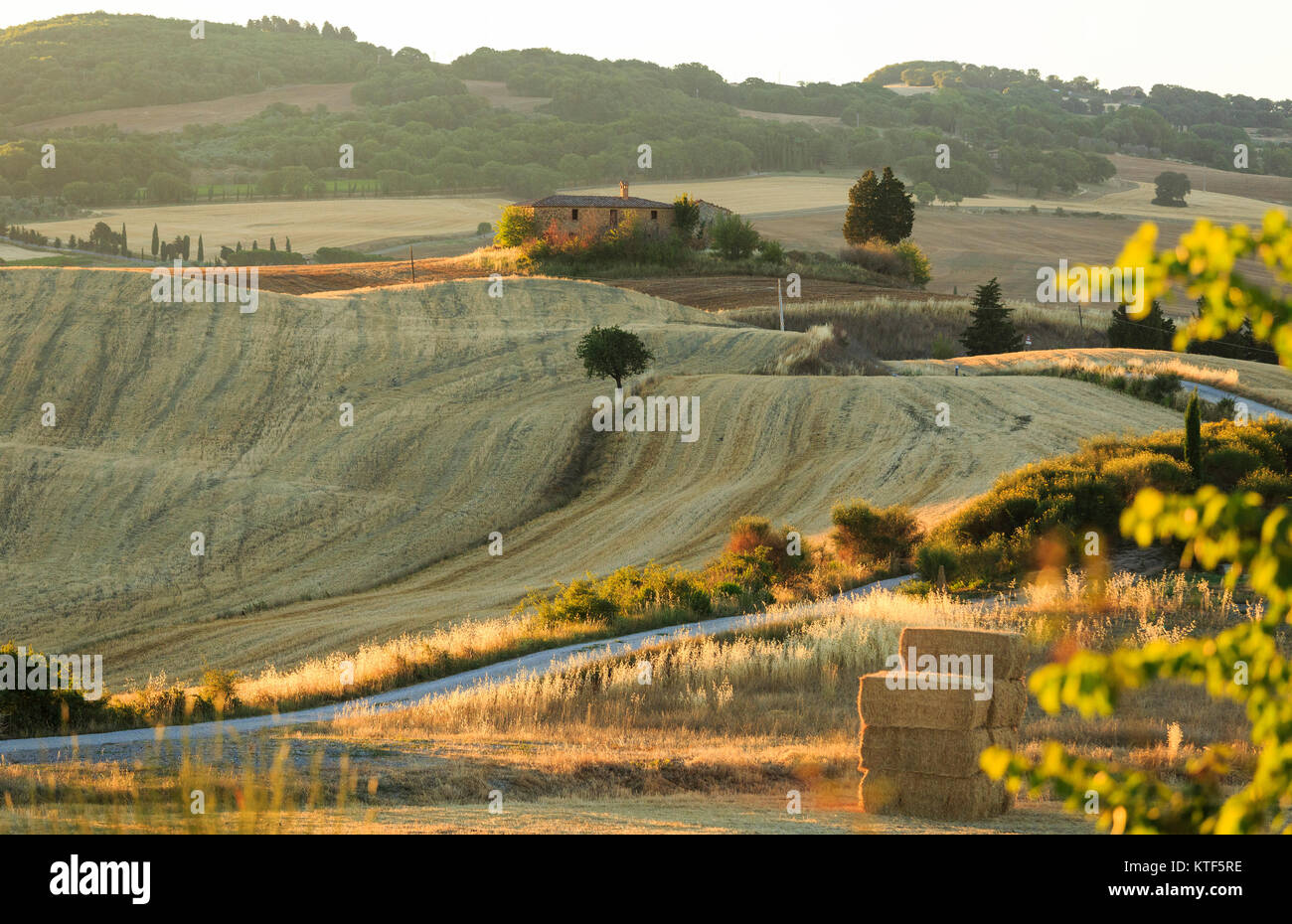 Val D'Orcia, Toscane, Italie Banque D'Images