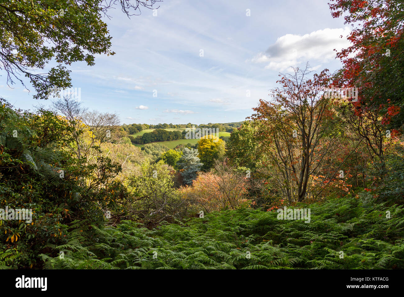 Vue sur collines du Surrey Région d'une beauté National sur une journée ensoleillée à l'automne, avec ciel bleu et nuages whispy Banque D'Images