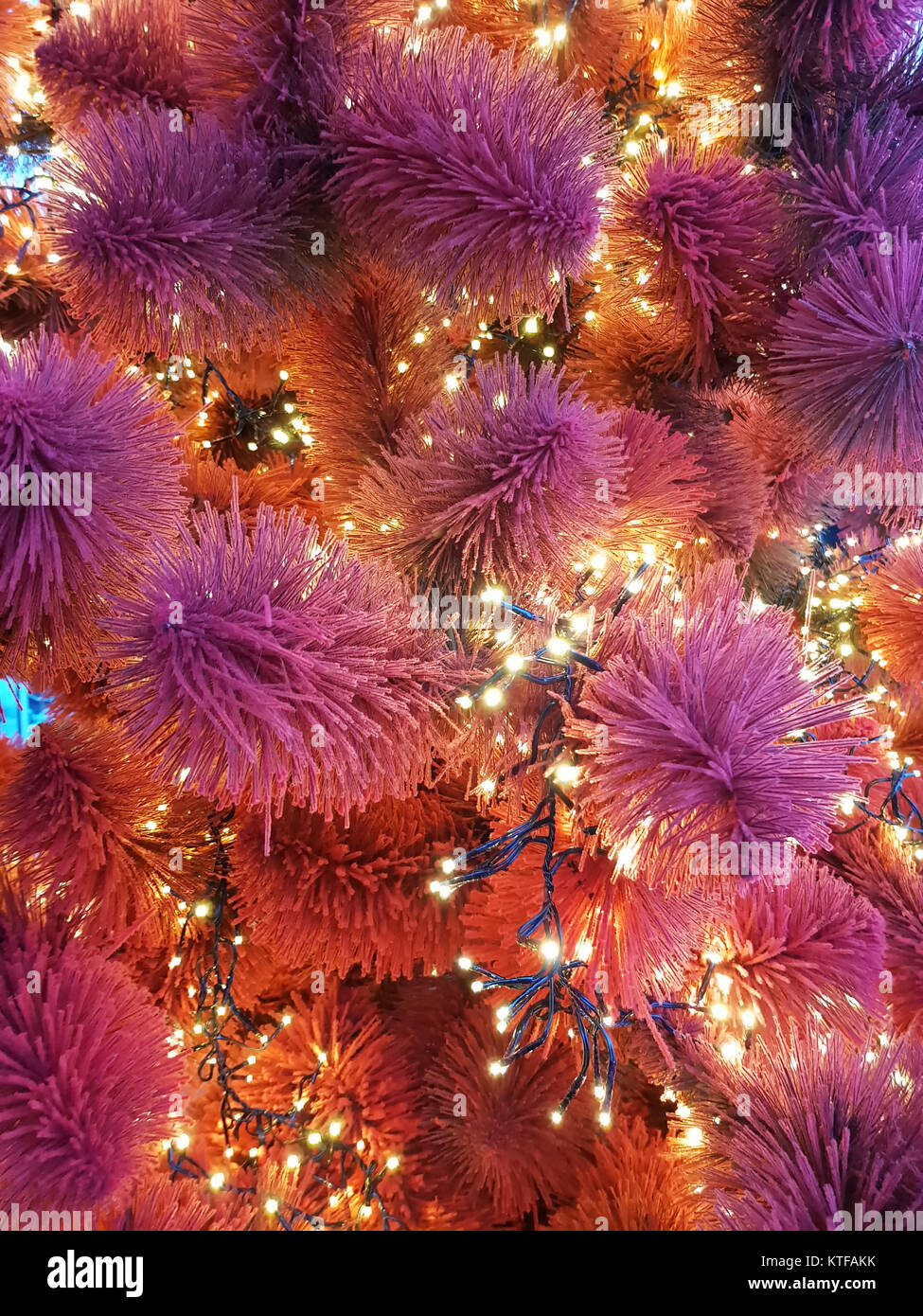 Arbre de Noël. Guirlandes sur le sapin de près. Rouge et mauve aiguilles de l'arbre de Noël Banque D'Images Arbre de Noël. Guirlandes sur le sapin de près. Rouge et mauve aiguilles de l'arbre de Noël Banque D'Images