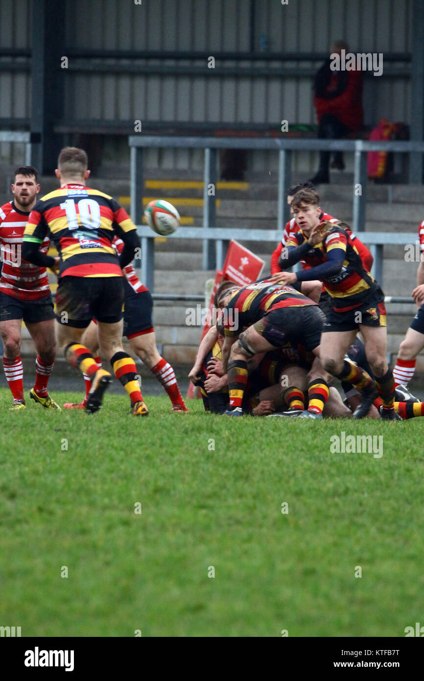 Llandovery RFC v Carmarthen Quins RFC Banque D'Images