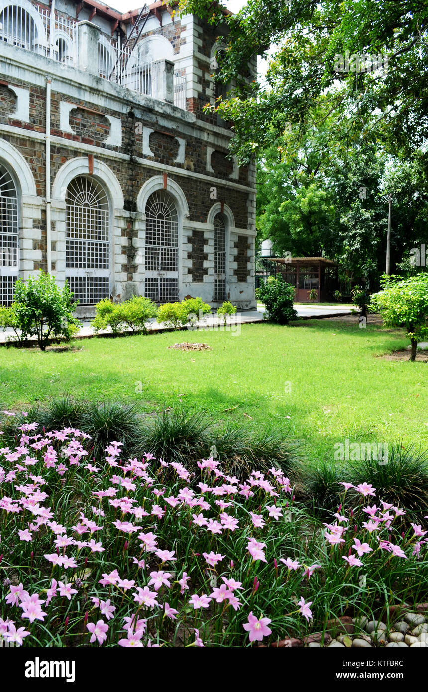 Fleurs roses en jardin avec ancien bâtiment en arrière-plan prises à l'intérieur du Fort Rouge Delhi Inde Banque D'Images