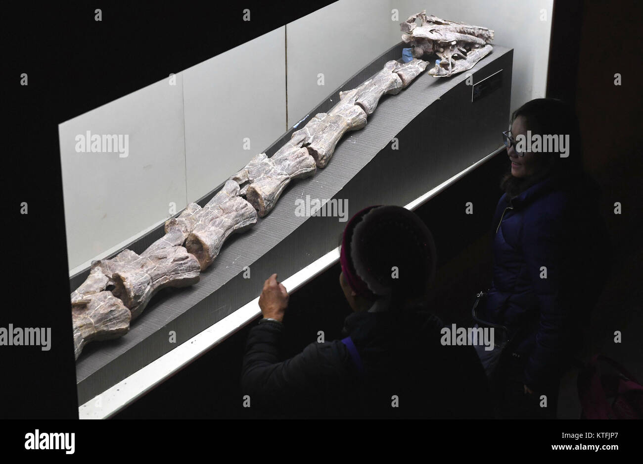 Kunming, province chinoise du Yunnan. 26Th Dec 2017. Les touristes voir des fossiles de dinosaures au monde à Lufeng Dinosaur Valley County, au sud-ouest de la province chinoise du Yunnan, le 23 décembre 2017. Le monde Lufeng, un dinosaure Dinosaur Valley parc à thème, exposé plus de 100 fossiles d'une variété de dinosaures. Credit : Lin Yiguang/Xinhua/Alamy Live News Banque D'Images