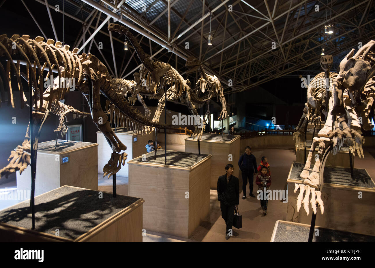 Kunming, province chinoise du Yunnan. 26Th Dec 2017. Les touristes voir des fossiles de dinosaures au monde à Lufeng Dinosaur Valley County, au sud-ouest de la province chinoise du Yunnan, le 23 décembre 2017. Le monde Lufeng, un dinosaure Dinosaur Valley parc à thème, exposé plus de 100 fossiles d'une variété de dinosaures. Credit : Hu Chao/Xinhua/Alamy Live News Banque D'Images