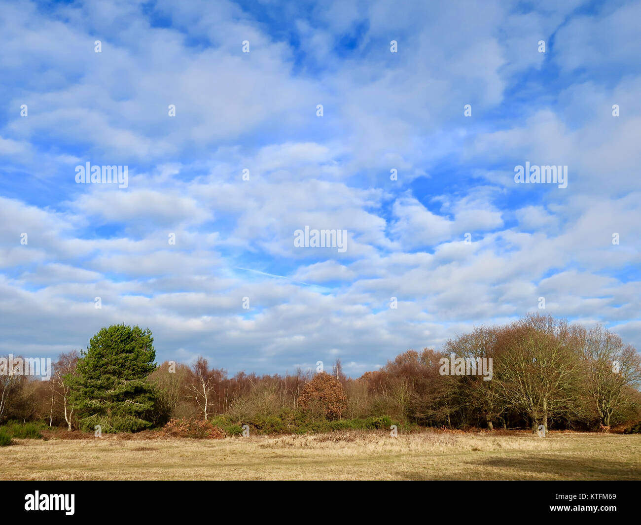 Suffolk, UK. Le 24 décembre, 2017. Météo France : Légère et lumineux matin de la veille de Noël à Martlesham Heath, dans le Suffolk. Credit : Angela Chalmers/Alamy Live News Banque D'Images