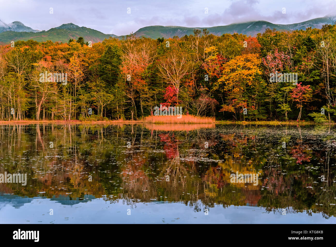 Les couleurs de l'automne reflète dans un lac à Shiretoko, Hokkaido, Japon Banque D'Images