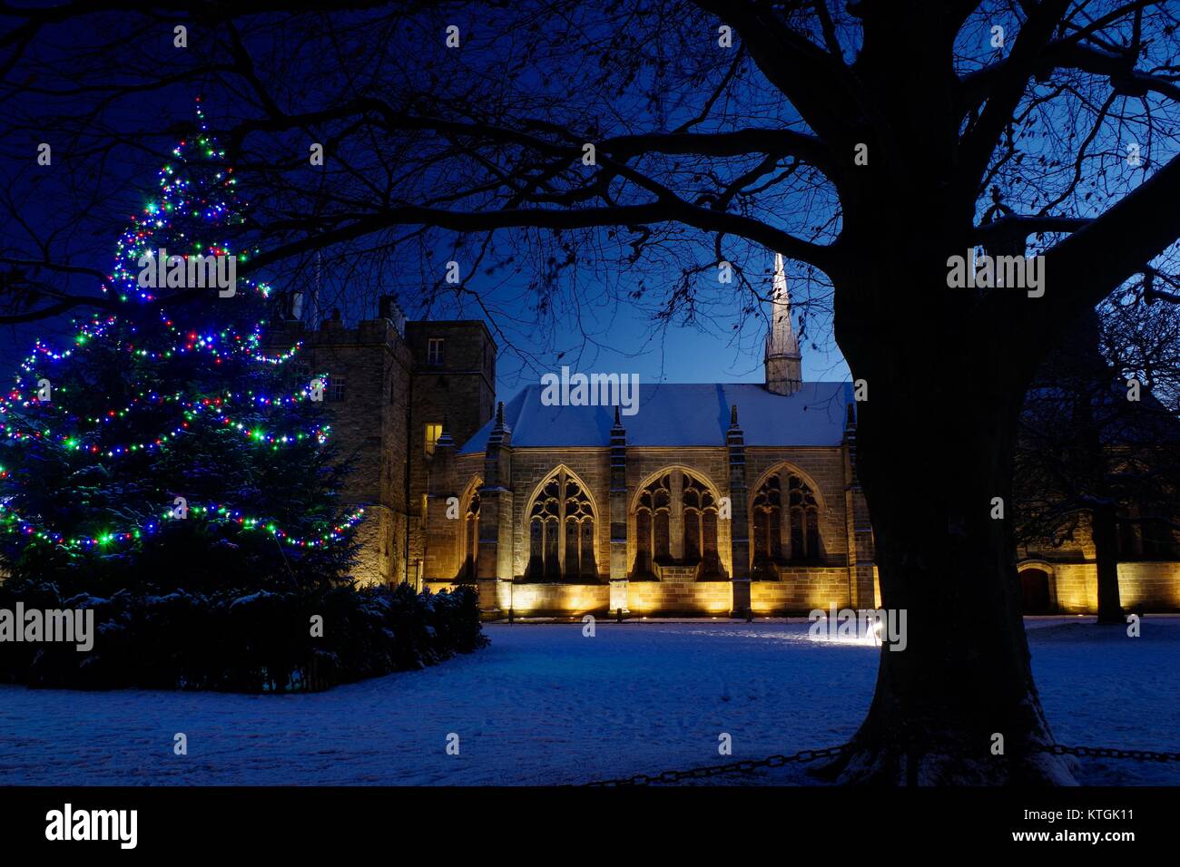 Arbre de Noël de l'Université d'Aberdeen, pendant un hiver enneigé, Écosse, Royaume-Uni. Décembre 2017. Banque D'Images