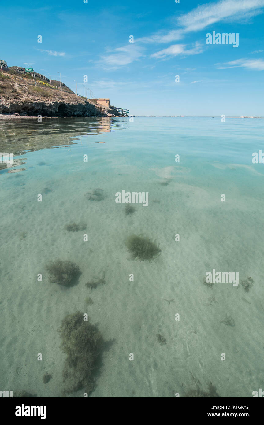 Les vacances d'été à Playa de La Concha ou la plage de la Concha, à La Paz, Baja California Sur. Le Mexique. Mexique (bords de mer) Banque D'Images