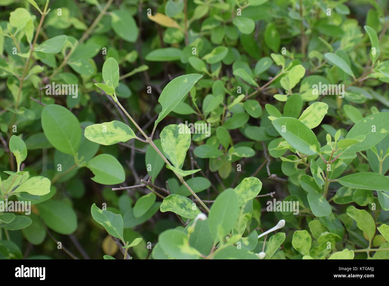 De bonnes photographies et images stock hd 4k Banque D'Images