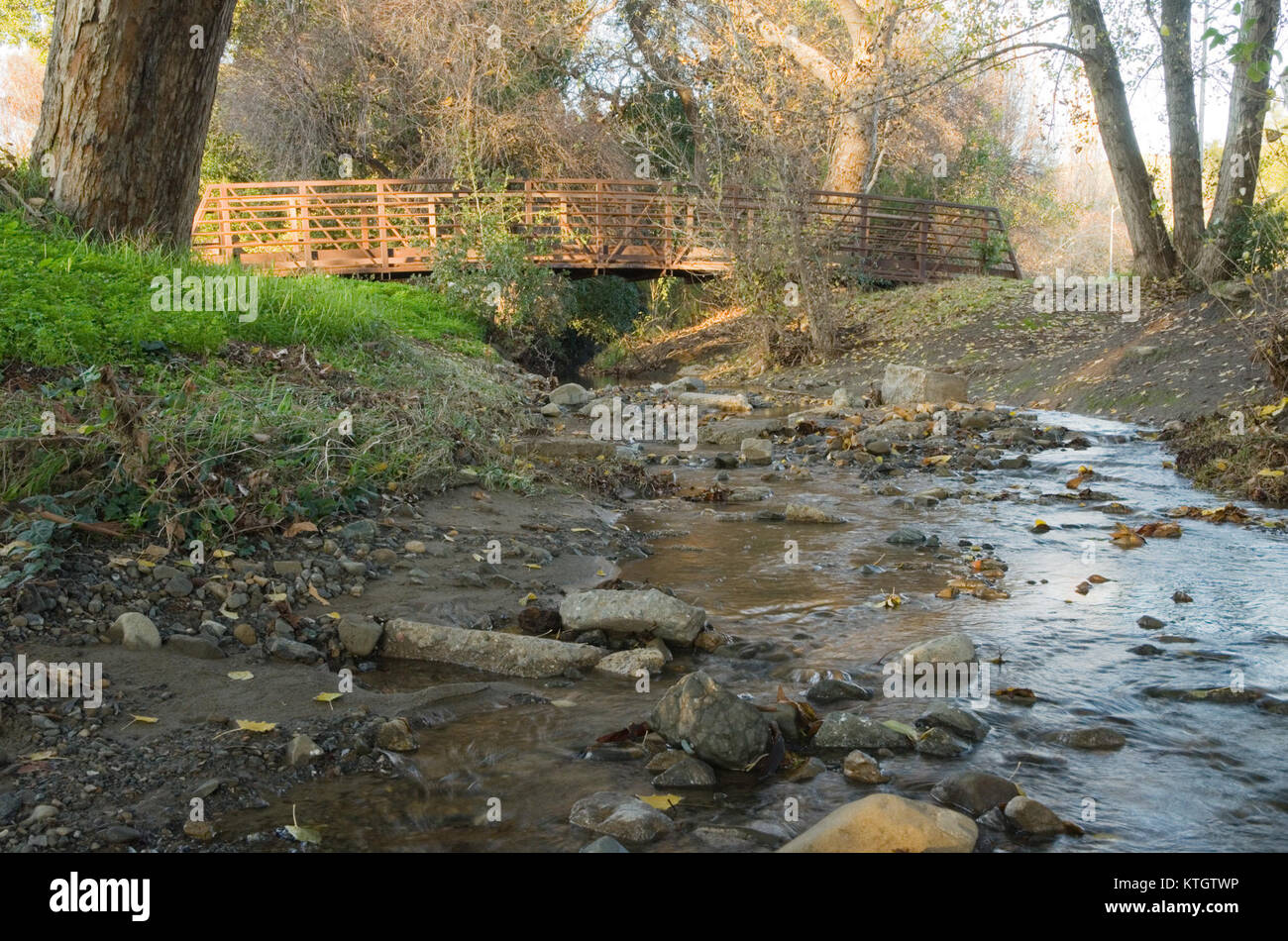 Le pont de Berryessa Creek Park s'étend sur Berryessa Creek, situé à San Jose, en Californie. Ce pont piétonnier relie des zones du parc, donnant accès à la nature et aux activités de plein air. Banque D'Images
