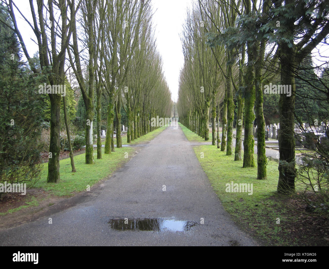 L'image représente Begraafplaats Ermelo, un cimetière aux pays-Bas, capturant l'atmosphère sombre et respectueuse du site. Banque D'Images