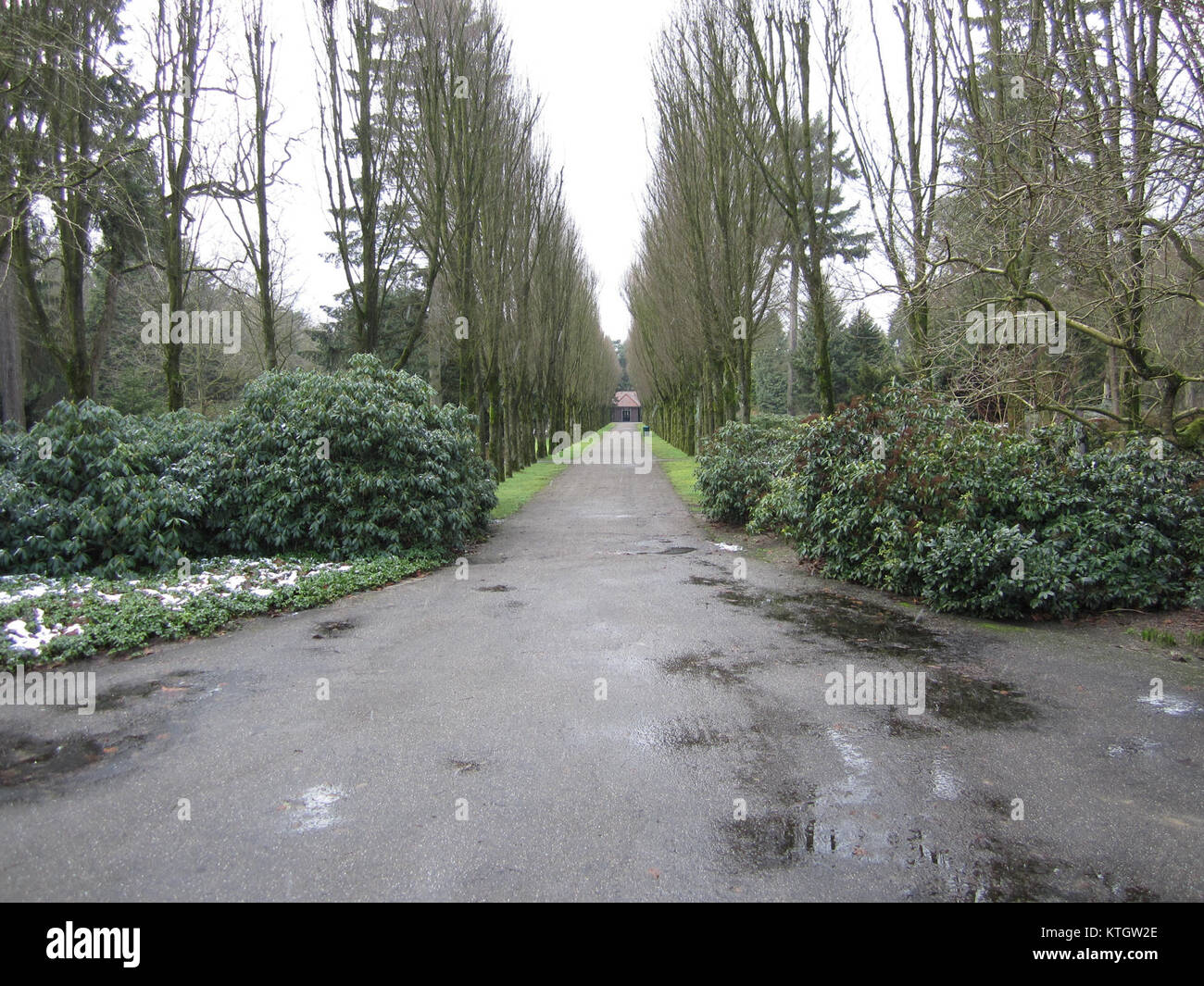 Begraafplaats Ermelo est un cimetière des pays-Bas, connu pour son importance historique et son cadre paisible, servant de lieu de repos final pour de nombreuses personnes. Banque D'Images