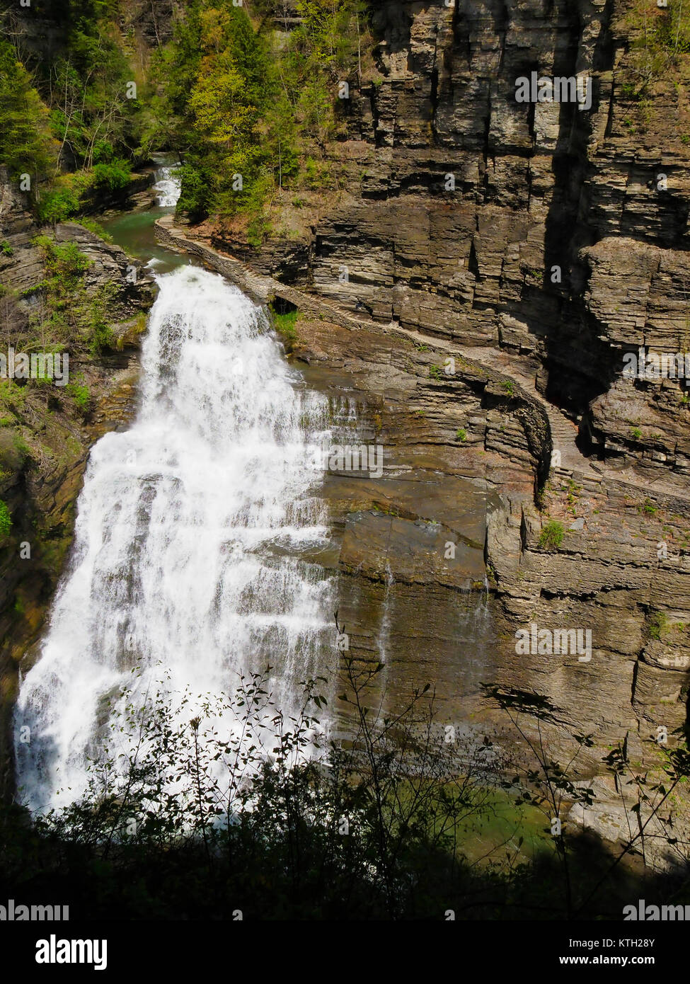 Lucifer Falls vu de Rim Trail, Robert H. Treman State Park, Finger Lakes, Ithaca, New York, USA Banque D'Images