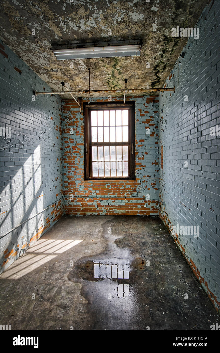 L'TransAllegheny Lunatic Asylum était un hôpital psychiatrique