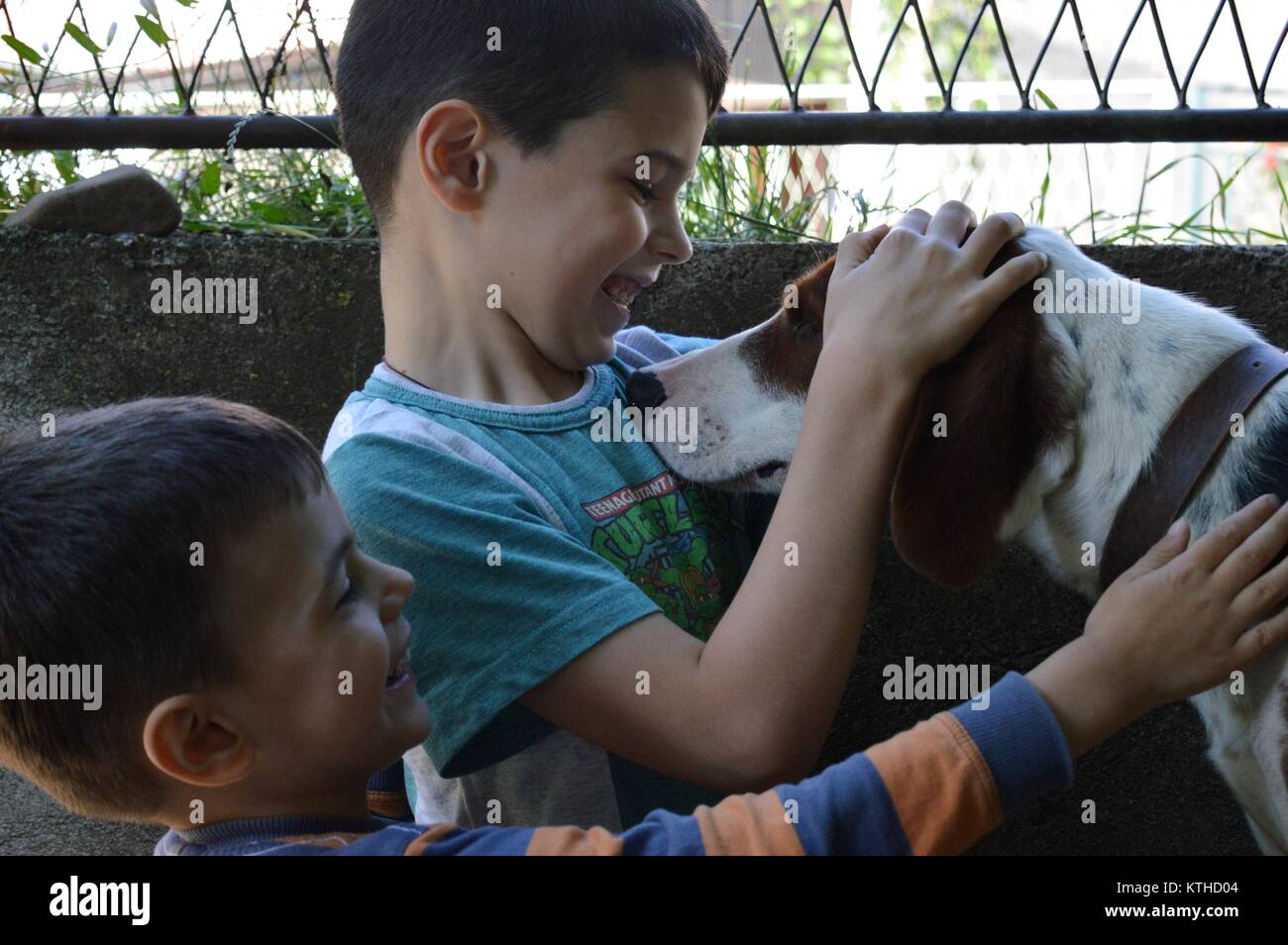 Les garçons jouent avec un chien Banque D'Images