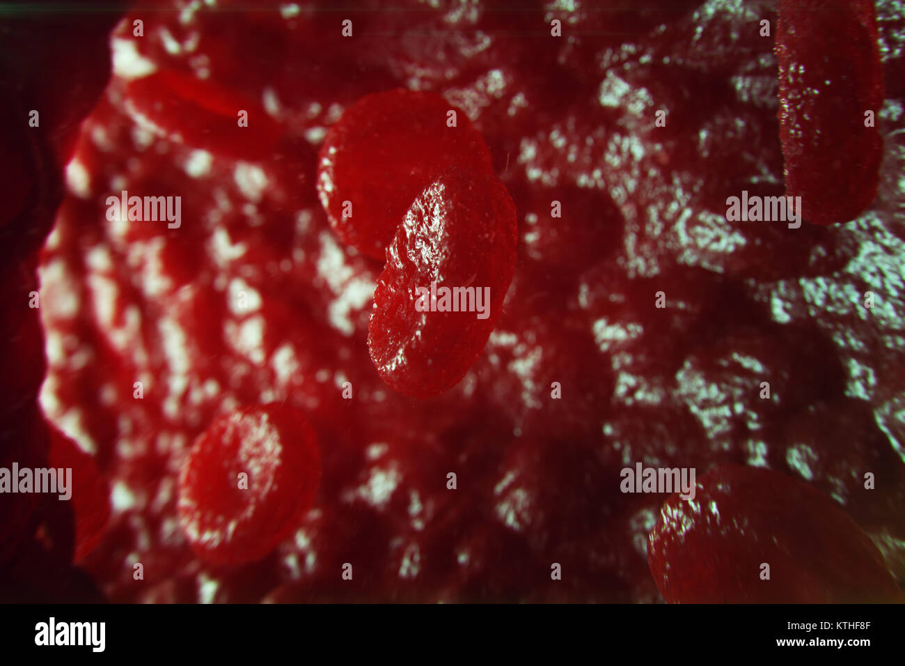 Illustration 3D dans les cellules rouges du sang d'idées. Les globules rouges en débit navire. médecine concept de soins de santé. Banque D'Images