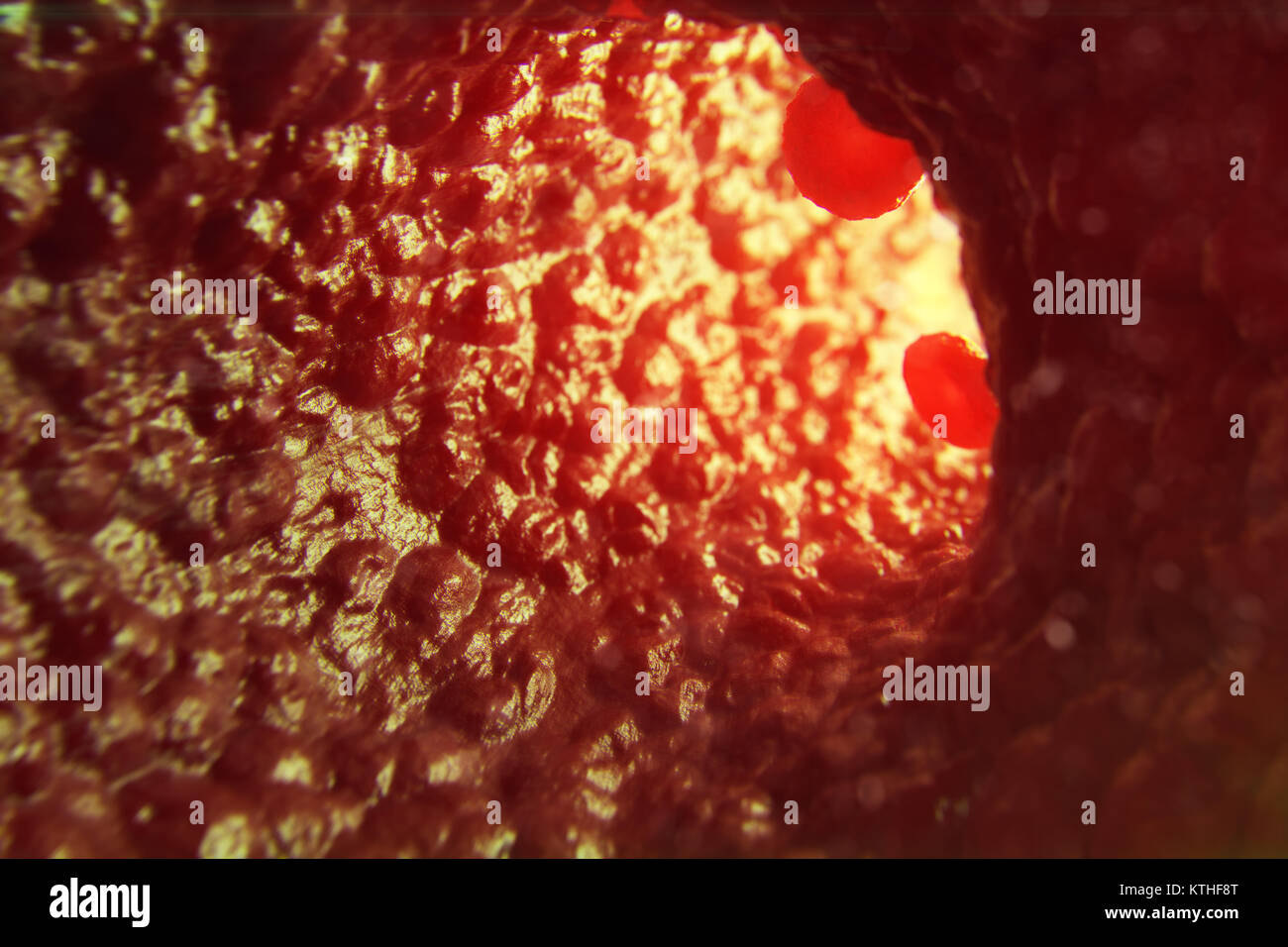 Illustration 3D dans les cellules rouges du sang d'idées. Les globules rouges en débit navire. médecine concept de soins de santé. Banque D'Images
