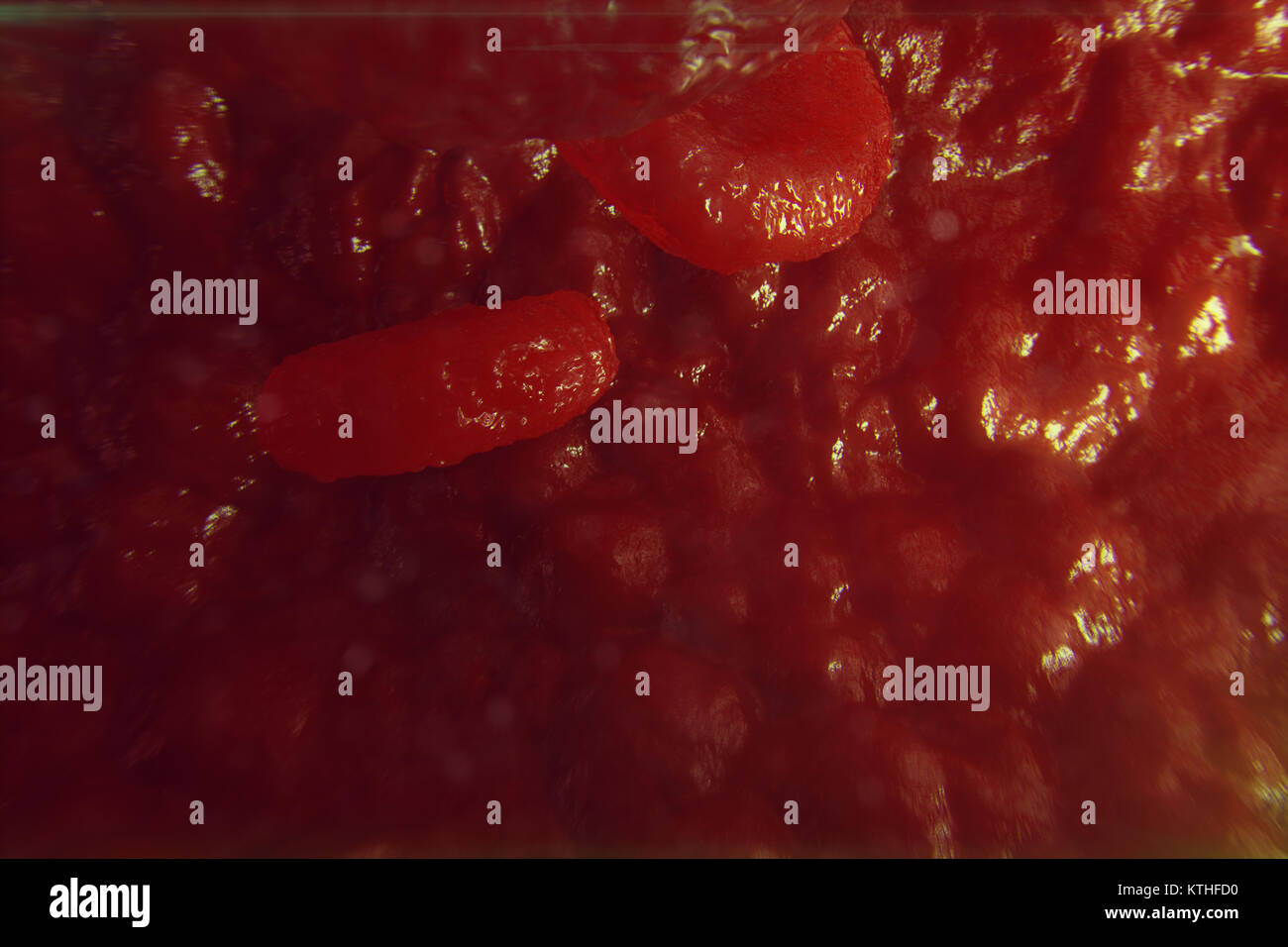 Illustration 3D dans les cellules rouges du sang d'idées. Les globules rouges en débit navire. médecine concept de soins de santé. Banque D'Images
