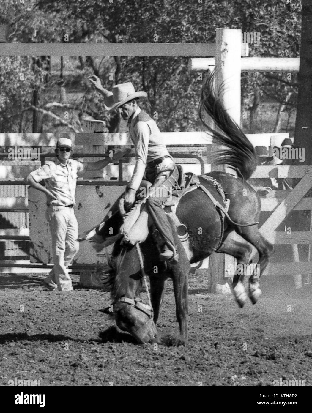 KINGAROY, l'Australie, vers 1980 : investiture non identifiés monte un bucking bronco lors d'une petite ville rodeo, vers 1980 à Kingaroy, Australie Banque D'Images KINGAROY, l'Australie, vers 1980 : investiture non identifiés monte un bucking bronco lors d'une petite ville rodeo, vers 1980 à Kingaroy, Australie Banque D'Images