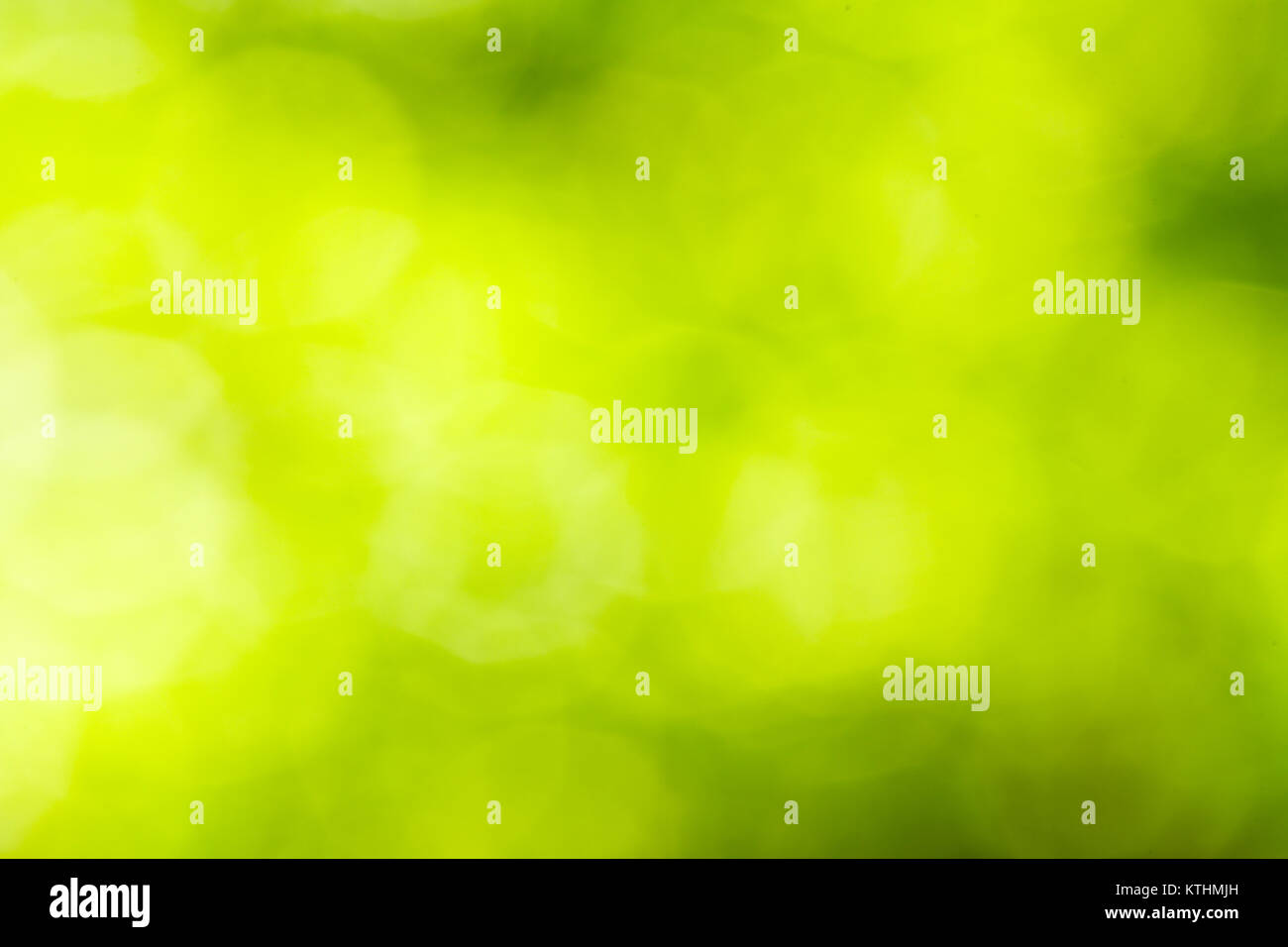 La nature floue fond printemps vert Banque D'Images