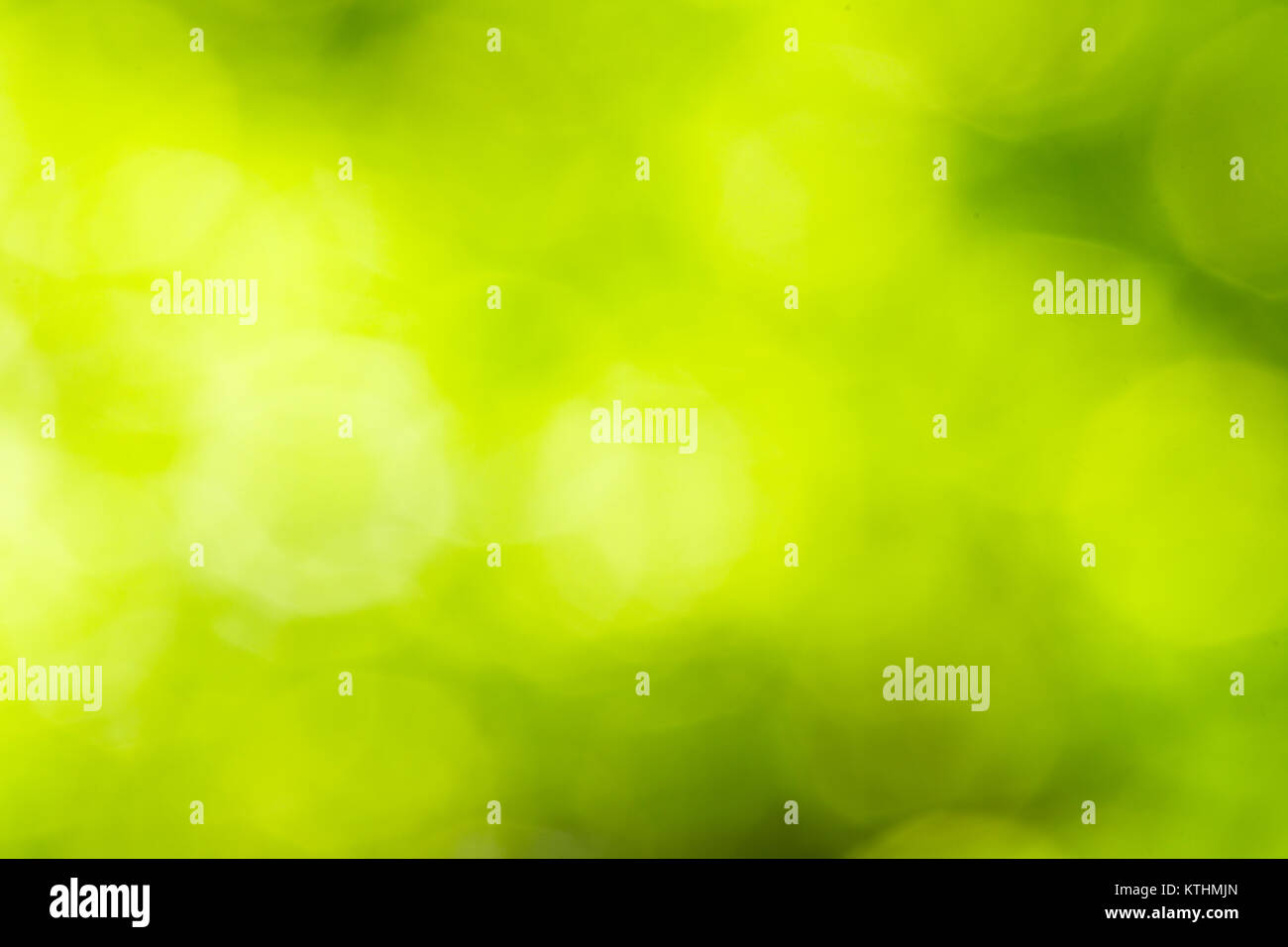 La nature floue fond printemps vert Banque D'Images