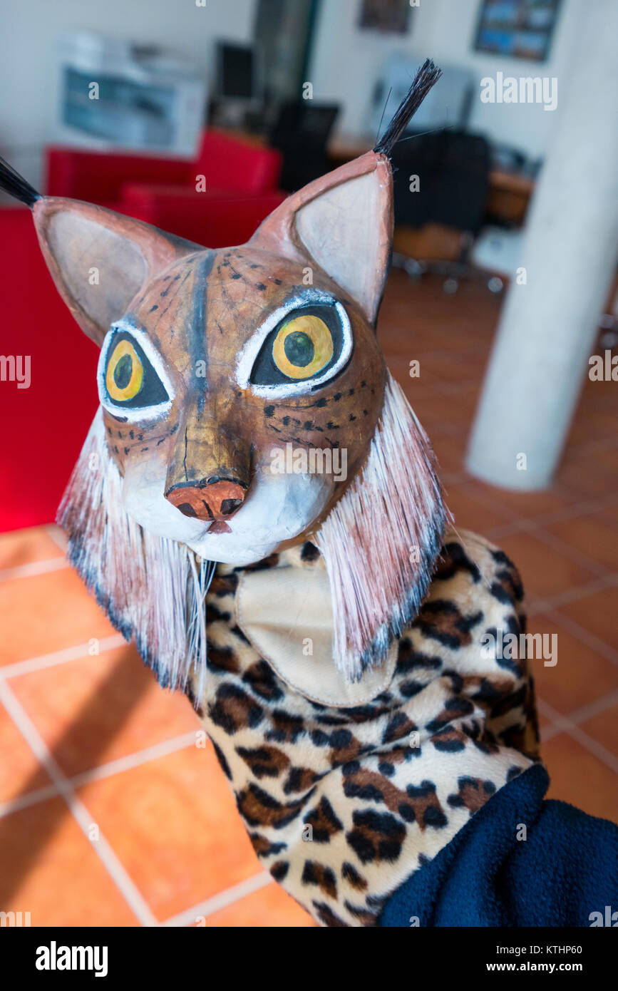 Le Lynx ibérique - LINCE IBÉRICO ((Lynx pardinus), Centre d'élevage en captivité du Lynx ibérique, Zarza de Granadilla, Cáceres, Extremadura, Espagne, Europe Banque D'Images