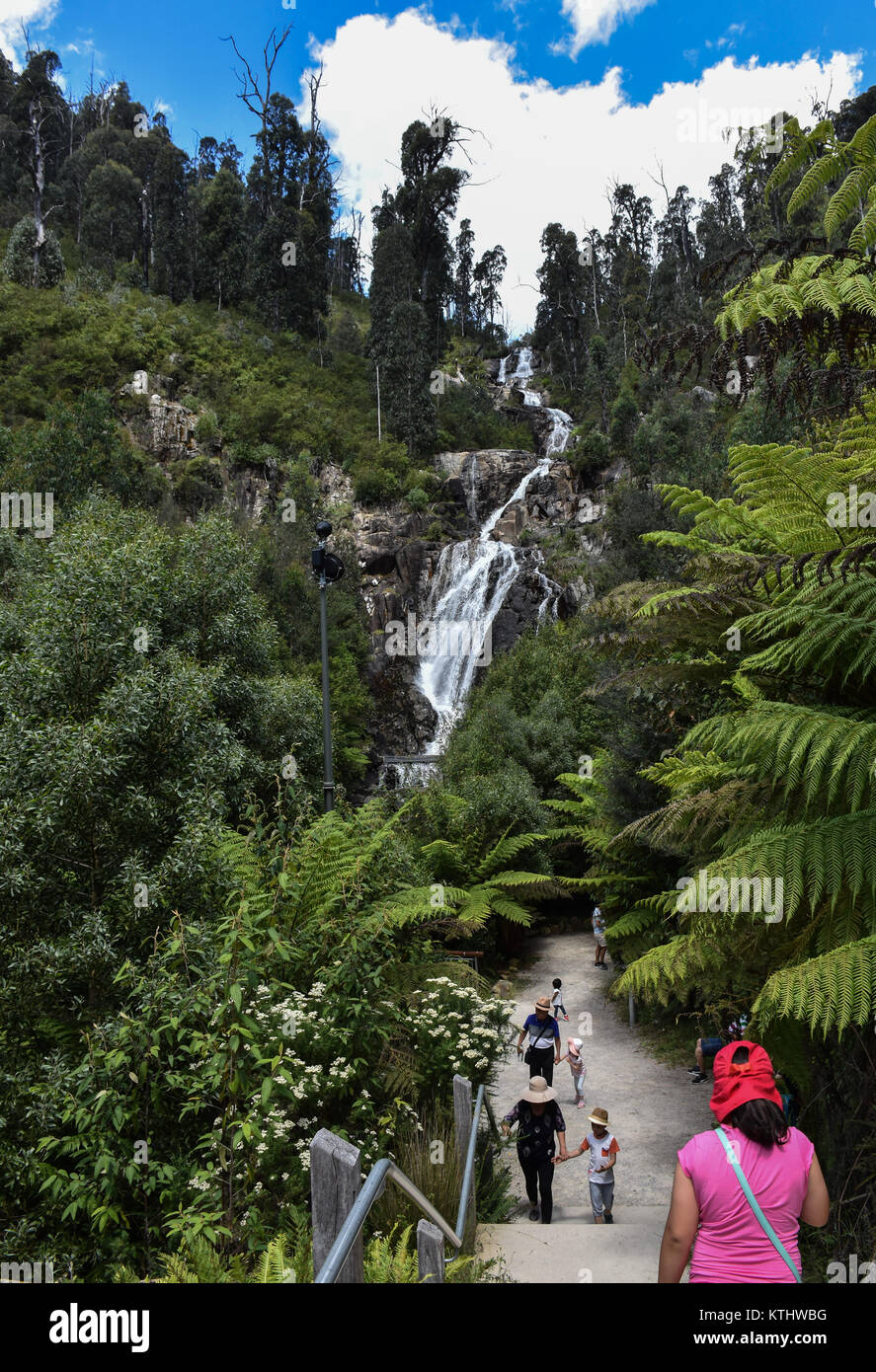 Melbourne, Australie. Déc 26, 2017. Une belle vue de Steavenson Falls à Victoria.Les chutes sont l'un des plus hauts à Victoria, avec cinq cascades, une descente totale de 122 mètres (400 ft). Credit : Mirza M. Hassan/Pacific Press/Alamy Live News Banque D'Images