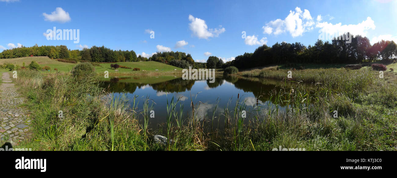 Cette image fait référence à un parc botanique ou jardin, LPKiWBotanik, mettant en valeur la diversité végétale ou des événements spécifiques de septembre 2013. Banque D'Images