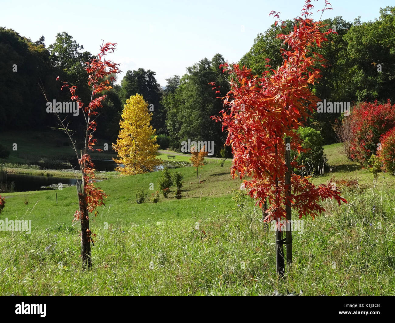 Photographie du 30 septembre 2013, représentant une exposition botanique au jardin botanique de l’Université de WrocÅ‚aw, mettant en valeur la diversité végétale et la disposition de l’exposition. Banque D'Images
