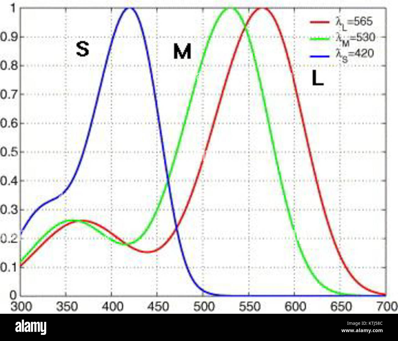 ColorVision fait référence à la capacité de percevoir et de différencier les couleurs, un aspect crucial du traitement visuel chez les humains et les animaux. Il joue un rôle clé dans la façon dont nous interagissons avec l'environnement et l'interprétons. Banque D'Images