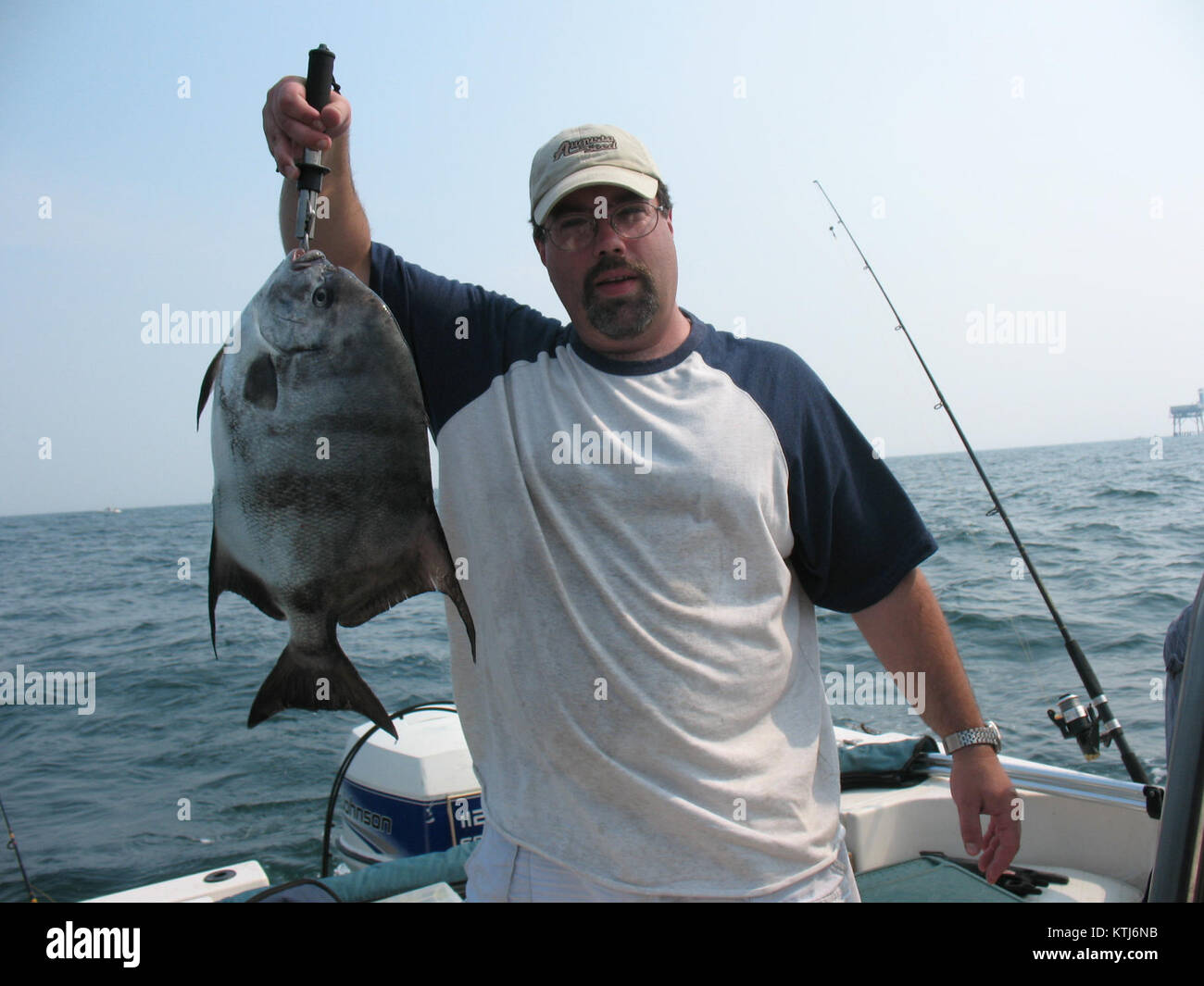Un Spadefish de l'Atlantique a été capturé au large des côtes de Virginie, montrant la forme et les marques distinctives de cette espèce. Le poisson est connu pour son corps argenté saisissant et ses rayures verticales noires, que l'on trouve couramment dans les eaux côtières. Banque D'Images