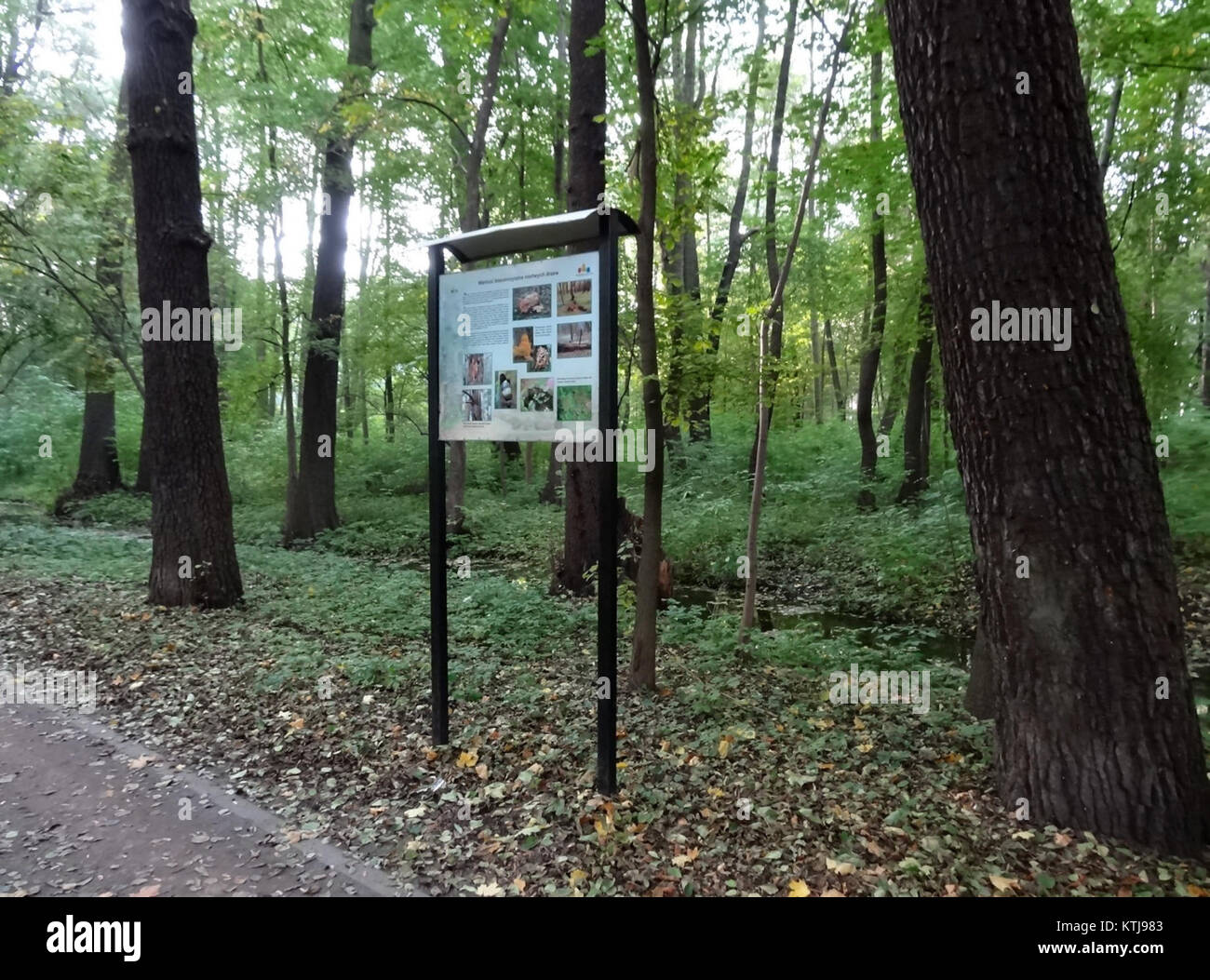 Cette image est associée à la BDG PlantynadKB, faisant éventuellement référence à un lieu ou à un événement spécifique en 2013. Un contexte plus approfondi serait nécessaire pour en préciser l'importance. Banque D'Images