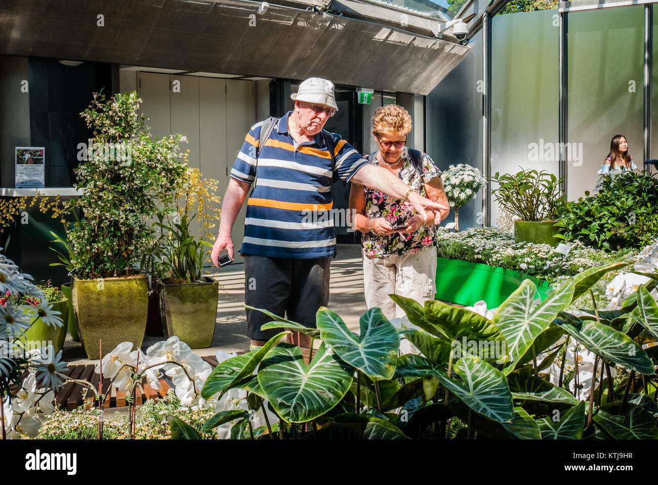 Flower show à Sydney Botanic garden Banque D'Images