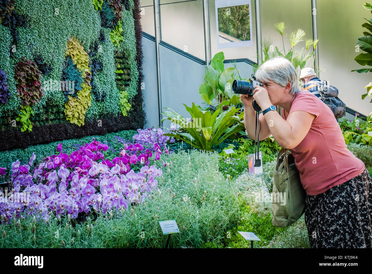 Sydney Flower show dans le Royal Botanic garden Banque D'Images