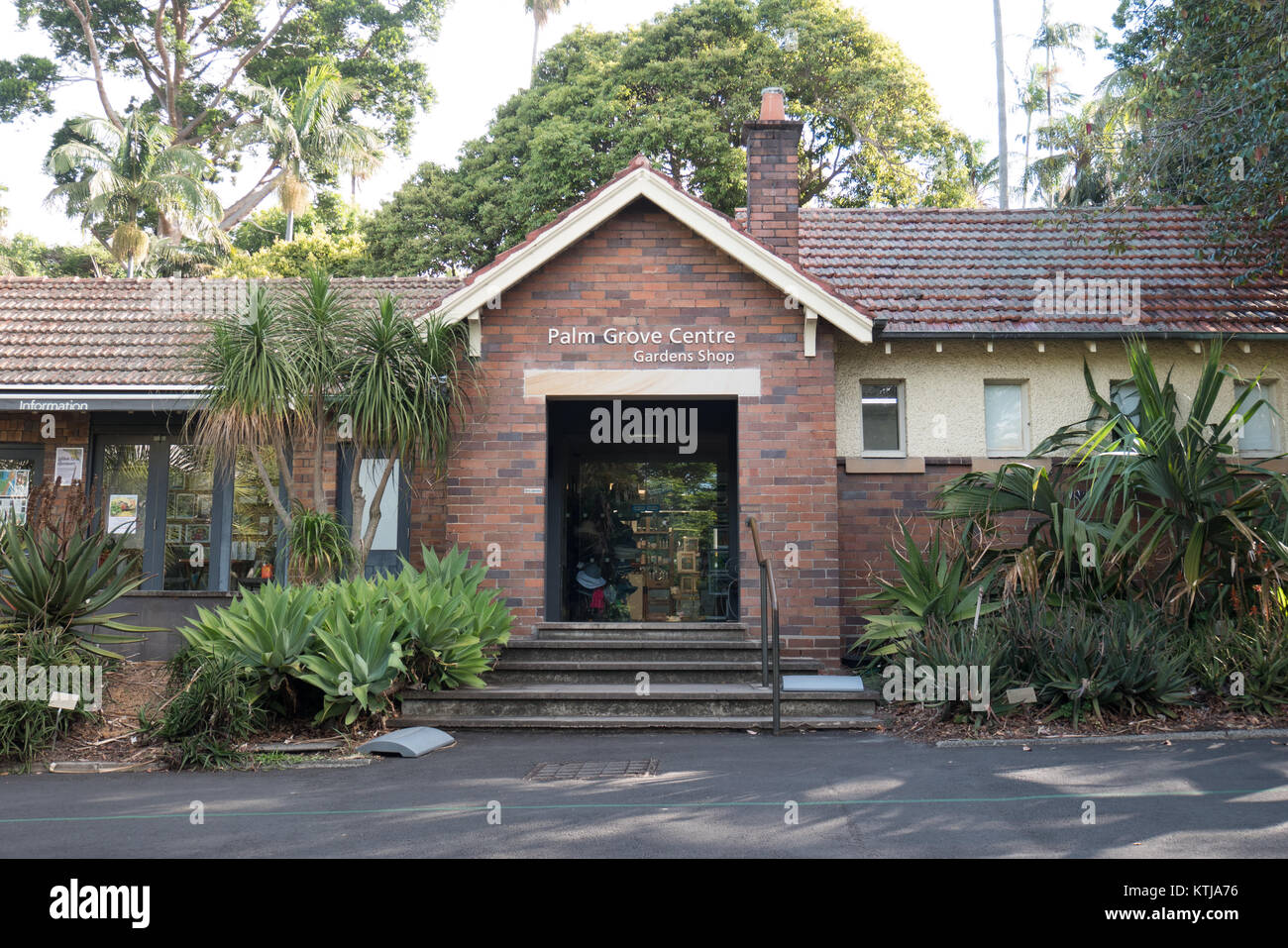 Les plantes et fleurs au Jardin botanique royal de Sydney Banque D'Images